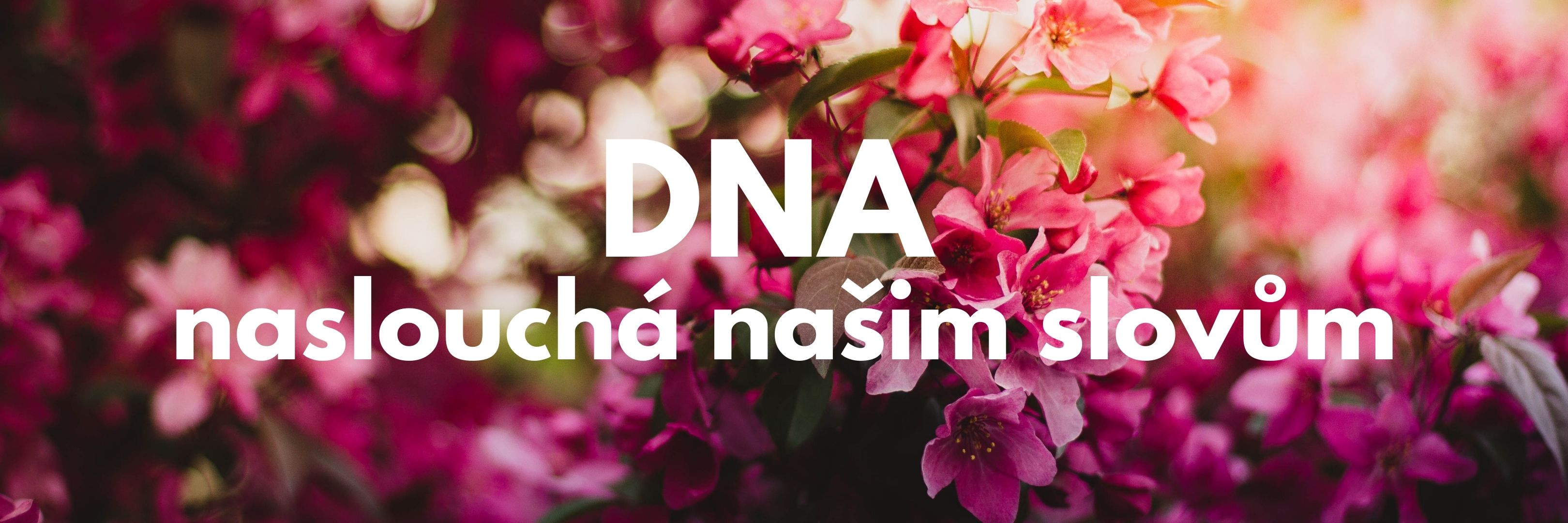 DNA naslouchá slovům